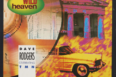 Get Wild | Eurobeat Wiki | Fandom