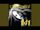 Runaway (Susy Wender Song)