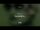 Black Devil