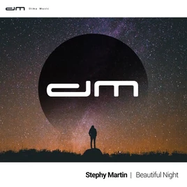 Beautiful Night Single