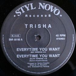 洋楽 EVERYTIME YOU WANT /TRISHA sddefault.jpg