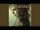 Love Desire (Macho Gang Song)/Love Desire 2007