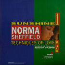 12" vinyl rear cover