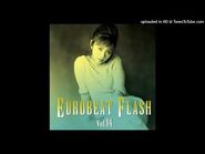 EB Flash Ver.