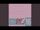 Tokyo Lights (Ace Song)