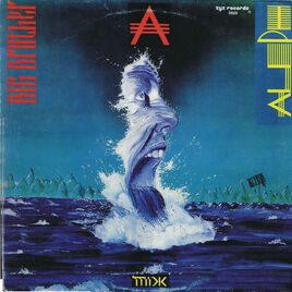 Vinyl (Germany)