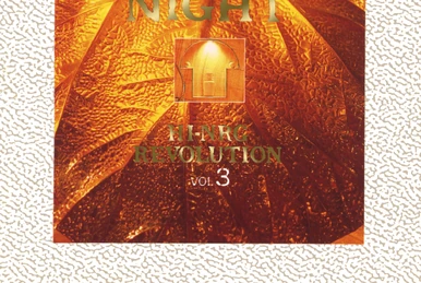 洋楽 MAHARAJA NIGHT HI-NRG REVOLUTION MAHARAJA NIGHT HI-NRG REVOLUTION (VOL.13) - Compilation by