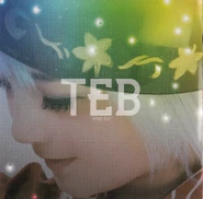Cover Art - Back