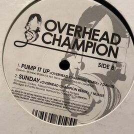 Vinyl Remix 
