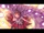 COUNTDOWN X-DAY