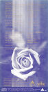 Rear Cover