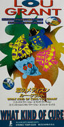 Japanese Maxi Mini CD