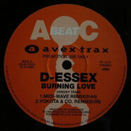 Remix en vinilo