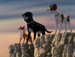 The Plague Dogs European Animated Films Wiki Fandom - roblox stichfriends dog wiki