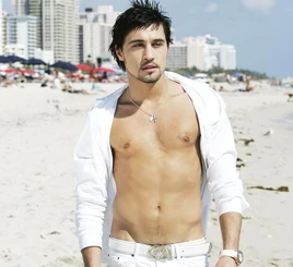 Dima-bilan-the-voice