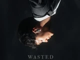 Wasted Love