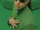Tommy Cash