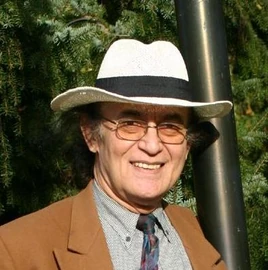 Dries Holten
