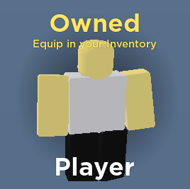 Player Skins - Roblox