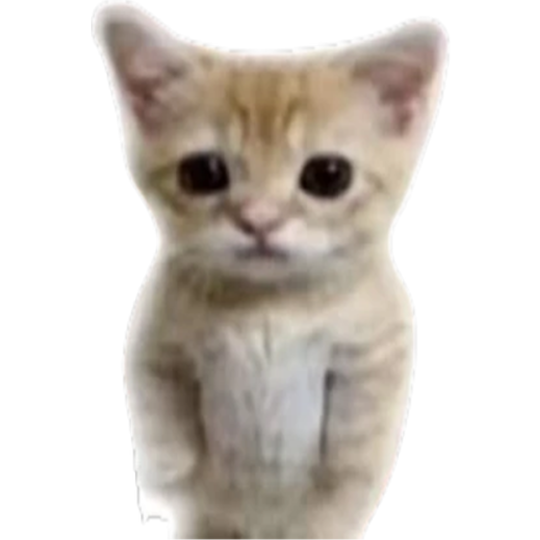 Эльгато котик