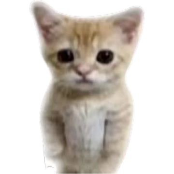 One of the developers for Evade has this cat profile picture. : r/roblox