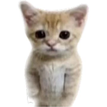 Meme Cat - Roblox