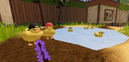 Enclosure with duck Bobo, duck Jard and duck Galf.