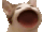 Popcat