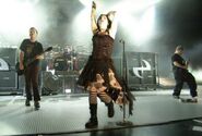 Live evanescence