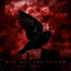 Listen to the new single, "Who Will You Follow"!