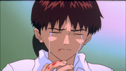 Shinji Crying (EoE)
