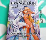 Evangelion Volume 13 Premium Edition