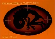 Ангел в эмбриональной стадии.