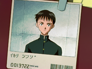 Foto de Shinji Ikari