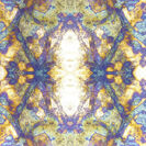 Pochette de l'album sans obi