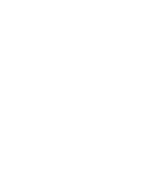 20th Anniversary Logo