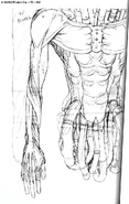Simulation Bodies artwork 2.png (188 KB) Sketch showing a detailed Simulation Body.