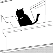 Gaghiel also known as "Nero", the cat body host.
