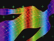 «Имманентная волновая структура» Рей.