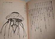 Evangerion RPG Kessen Daisan shin Tokyo shi 9.jpg (256 kB)