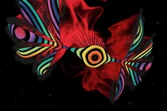 Sahaquiel.png (52 КБ) 8-ой Ангел в раскрывшемся виде