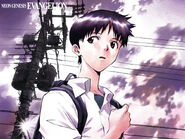 Ikari.Shinji.full.232279