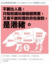 港豬圖解（「正政唯識」製圖）[1]