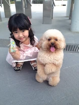 11885 308718219282539 481604896 n.jpg (92 KB) 11885 308718219282539 481604896 n