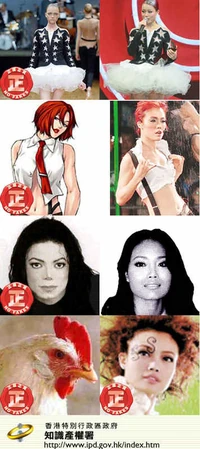 抄襲衣著和做型例子