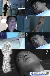 10270445 620343908054443 7394193265748083222 n.jpg (57 KB) 10270445 620343908054443 7394193265748083222 n