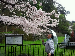 11049453 1665418717019510 4342646672719385243 n.jpg (152 KB) 11049453 1665418717019510 4342646672719385243 n