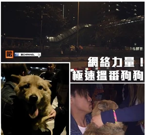 12631390 807855219343887 7944405870979291067 n.jpg (45 KB) fb專頁「啱Channel」製圖