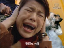 Wucpic4.jpg (70 KB) 大叫屌你老母的狗