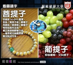 1779157 572950269462388 491106873 n.jpg (87 KB) 橄欖啜核指出片中把菩提子譯作葡萄乃是錯誤